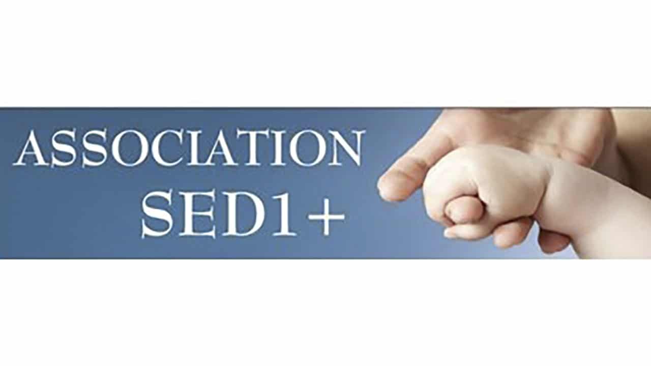 logo de l'association Sed1+